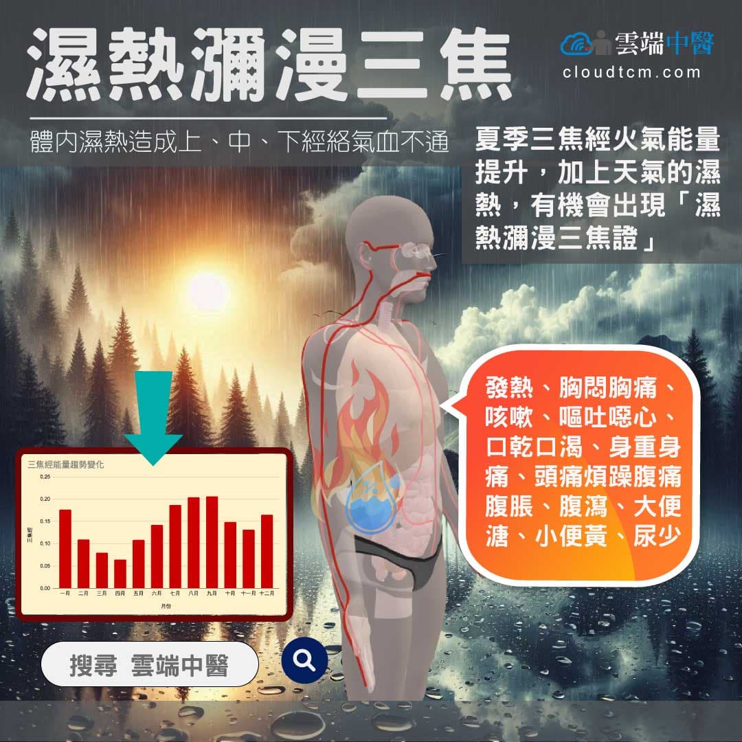 濕熱瀰漫三焦經絡圖