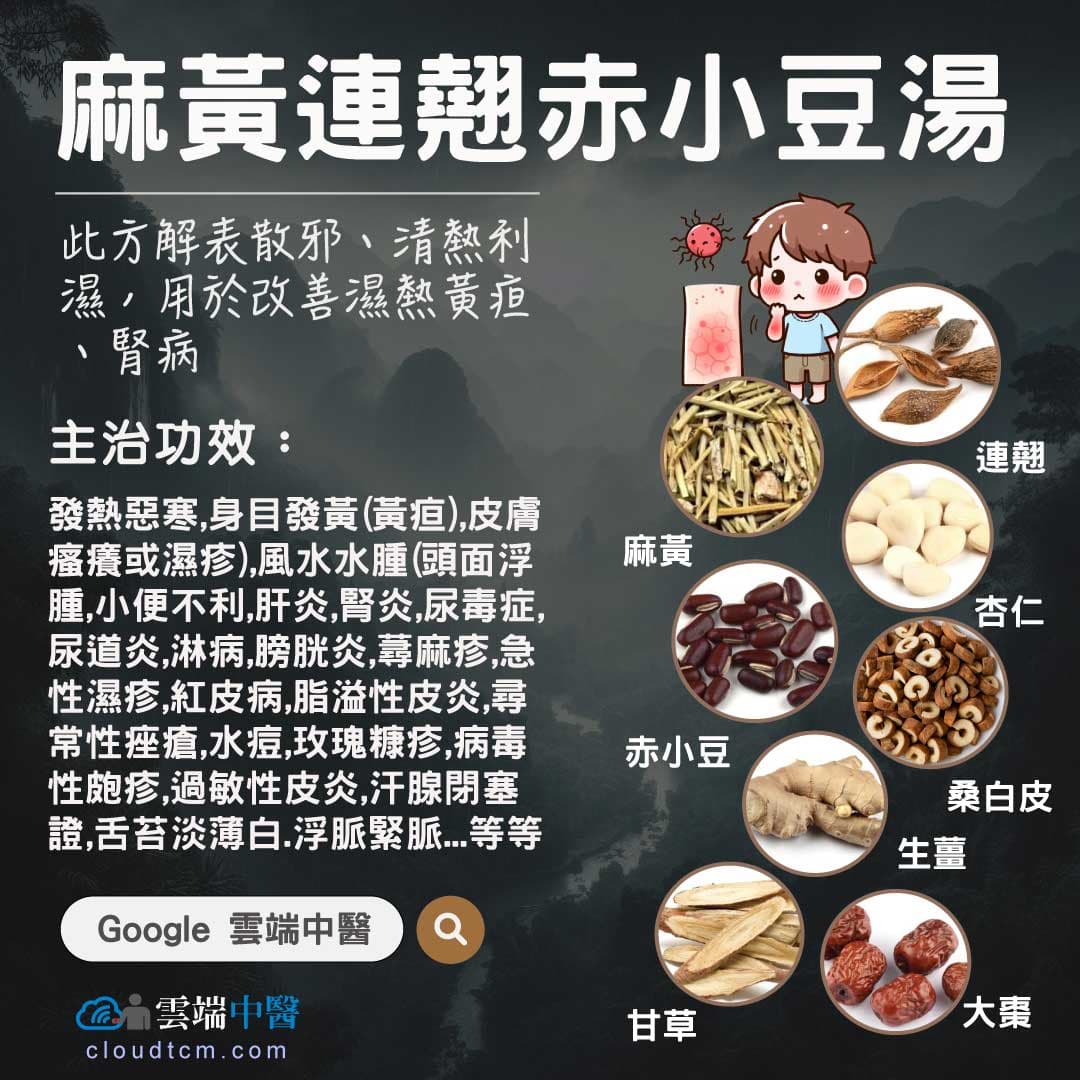 麻黃連翹赤小豆湯