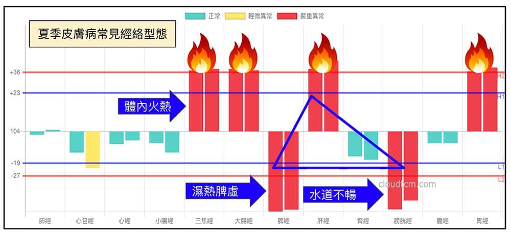 夏季常見的經絡型態,很容易出現皮膚病