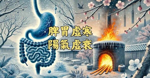 脾胃虛寒陽氣虛衰時,需要火熱中藥改善