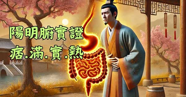 陽明腑實證,出現痞、滿、實、熱症狀