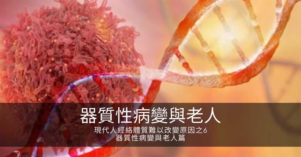 現代人經絡體質難以改變原因之6-器質性病變與老人篇