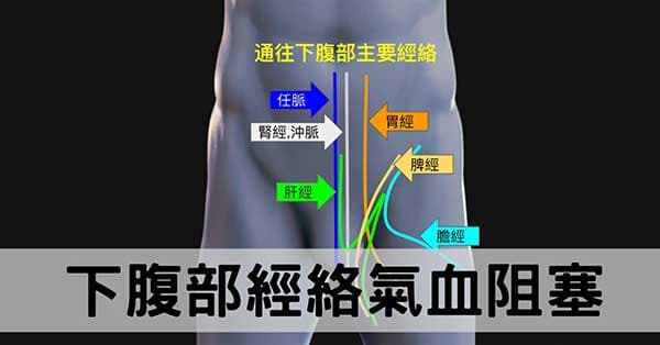 從經絡看現代人下腹部瘀阻,造成慢性病的現象!