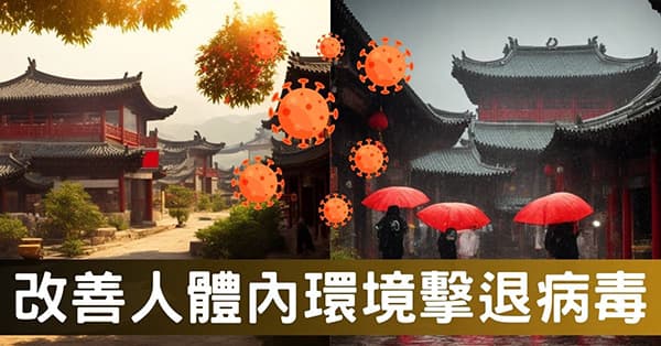 原來,中醫是從改善「內環境」來擊退病毒!《疾病密碼》