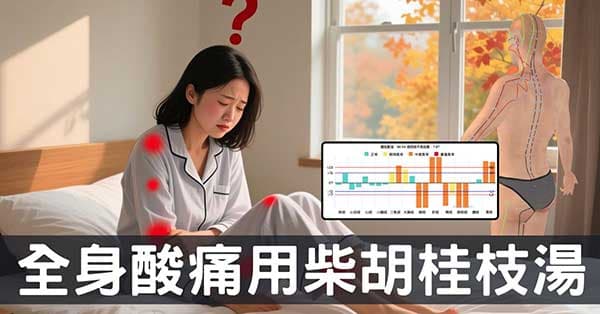 從經絡看全身酸痛:為何「柴胡桂枝湯」能有效改善?