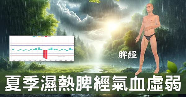 夏季濕熱與脾經氣血虛弱,17種症狀全面理解!