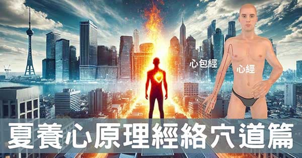 從經絡理解「夏養心」原理及方法上(經絡穴道)