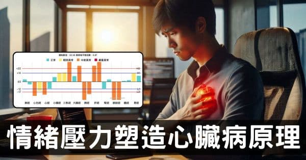 情緒壓力如何造就心臟病?從經絡型態的演變徹底理解!