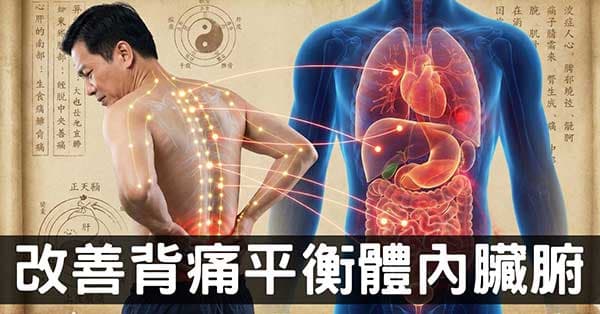 背痛反映五臟六腑的健康狀態,改善背痛是養生基本功!