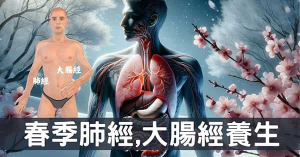 肺經與大腸經能量的3種特殊性,每年春季能量最弱!
