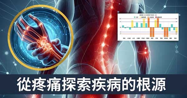 從疼痛探索人體奧秘,從經絡找出疾病的根源!