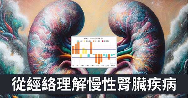 從經絡理解慢性腎臟疾病是怎麼回事?如何預防?