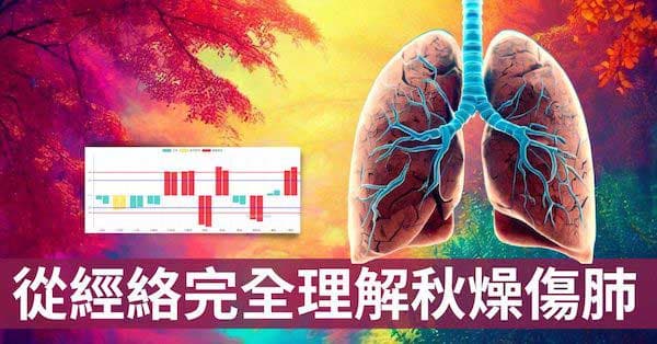 從經絡理解「秋燥傷肺」的5個原因，秋季如何養肺？