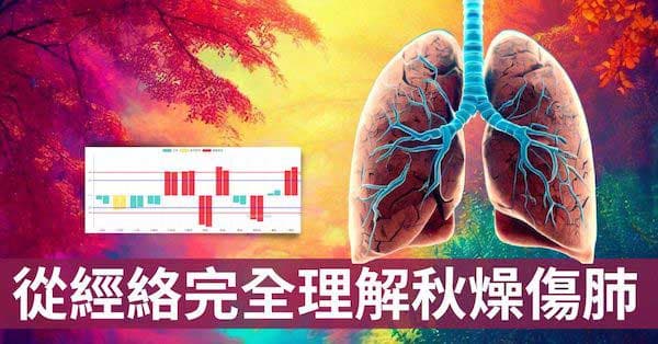 從經絡理解「秋燥傷肺」的5個原因,秋季如何養肺?