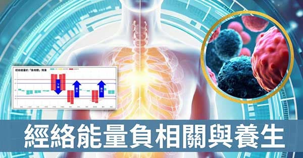 從十二經絡的「負相關」連動性,找出養生的秘密!