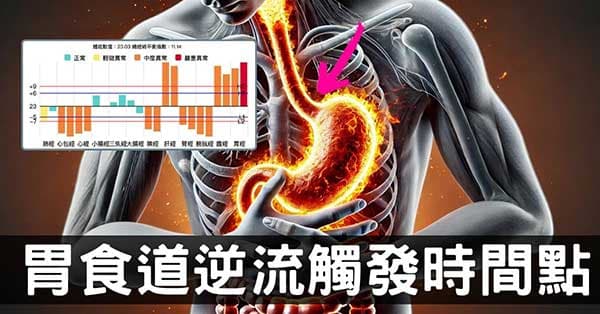 從經絡型態,理解觸發胃食道逆流的4個時間點!