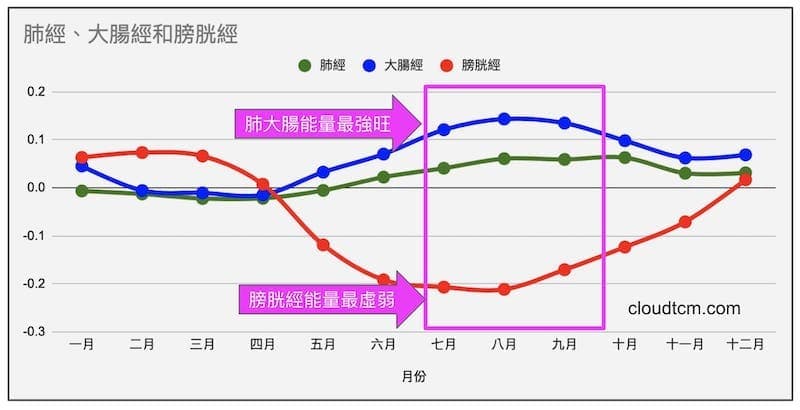 肺經大腸經與膀胱經的能量趨勢