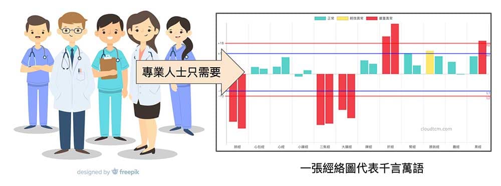 對專業人士而言,他們單純地只需要一張經絡圖