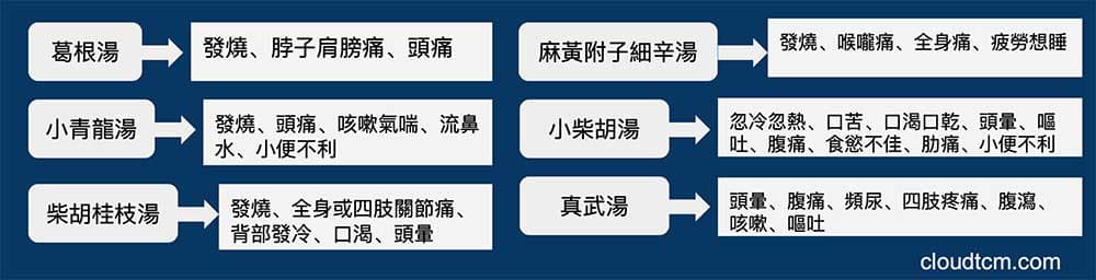 改善傷寒暝眩反應的常見中藥方劑