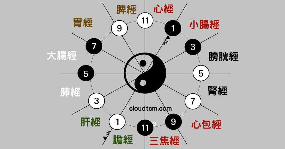 永遠不退流行的12時辰經絡養生法!