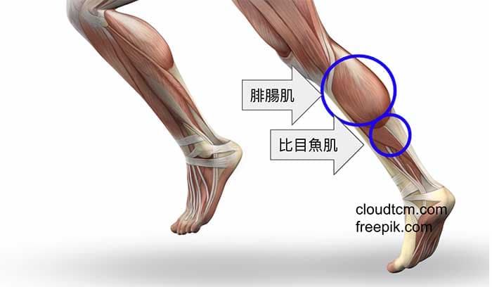 按摩小腿肌肉可以改善腳冷