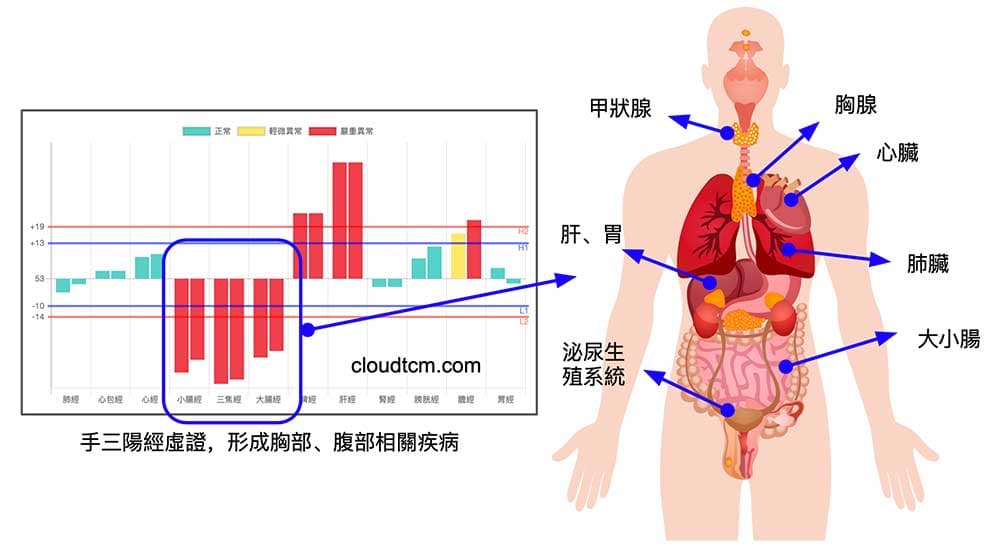 手三陽經虛證,也會造成胸部腹部的相關疾病