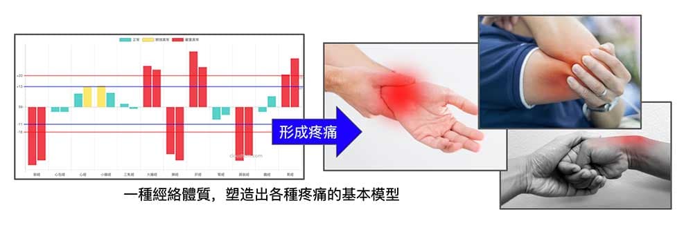 熟悉一種經絡體質，針對相對應出來的疼痛就可以清楚掌握