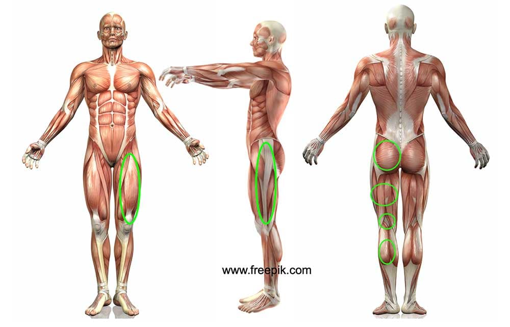 可以改善腰酸背痛的肌肉，幾乎都在大腿小腿上