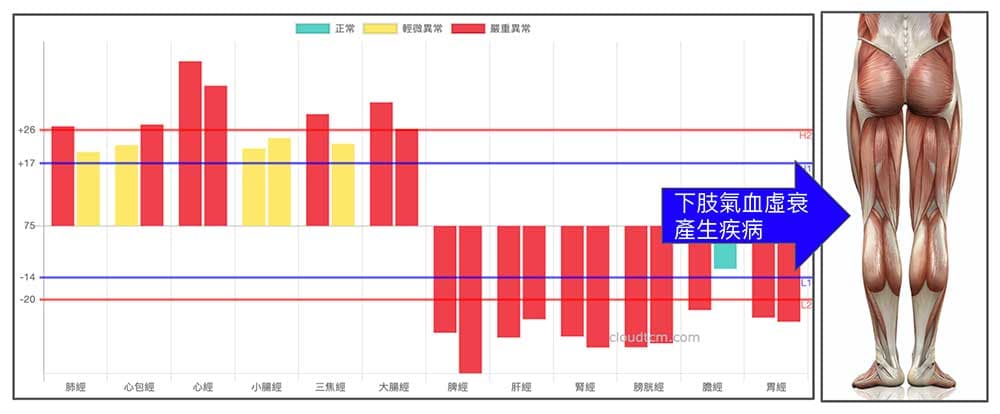 下半身經絡氣血虛衰，難逃腳部疾病