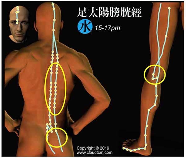 拔罐刮痧膀胱經，可以改善腿抽筋現象