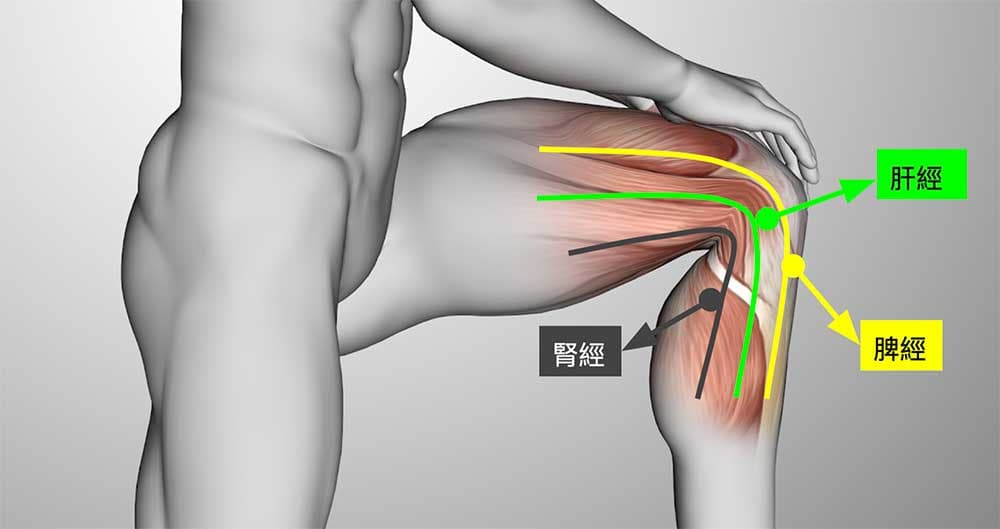 膝蓋內側痛，主要影響的是腳的三陰經絡(肝脾腎經)