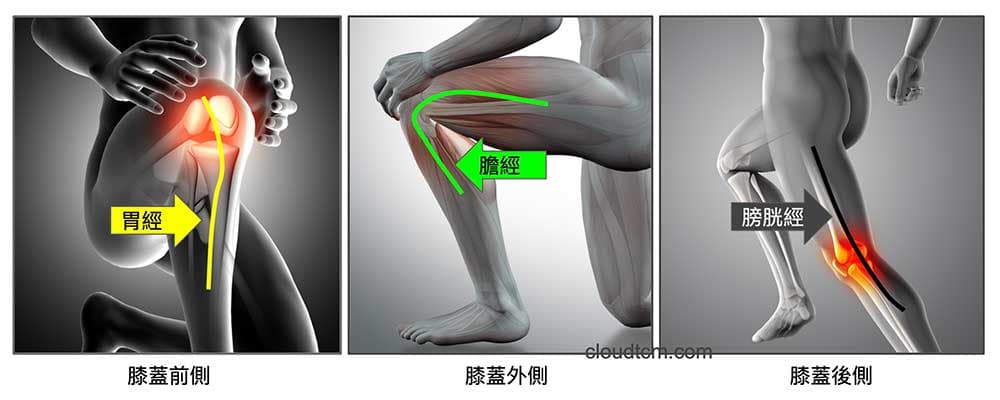 膝蓋的前外後側,受到胃、膽與膀胱經的影響