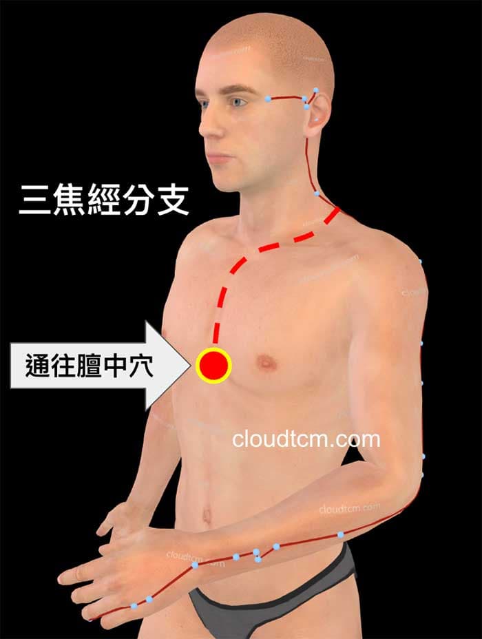 三焦經通往胸部,影響到肺臟