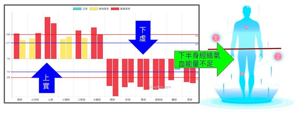 上實下虛經絡型態，下半身經絡氣血能量不足