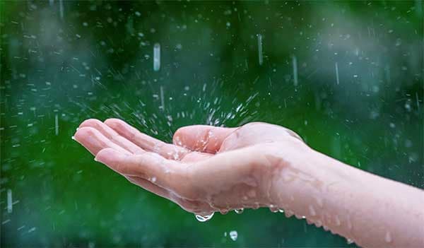 下雨天時容易增加體內的濕氣