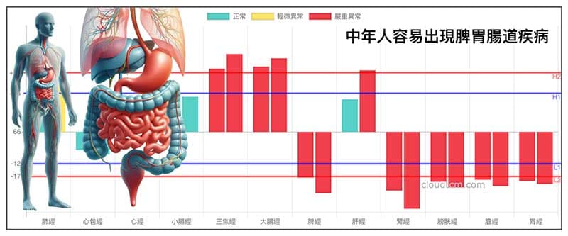 進入中年的經絡體質,幾乎多數人脾胃腸道消化系統都不好