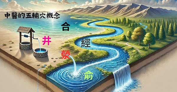 中醫經絡的五輸穴概念圖