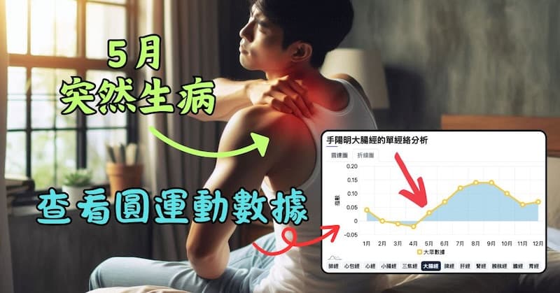 5月身體出現不舒服時,可以查看5月的經絡圓運動數據