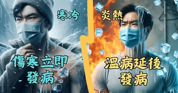 不論傷寒溫病,在本質上都是寒