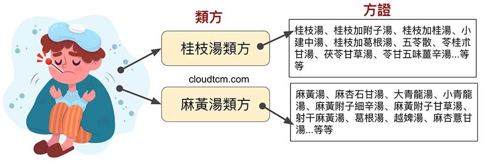 傷寒論桂枝湯類方,麻黃湯類方方證