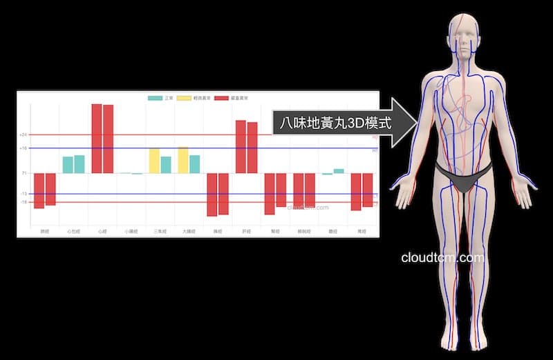 八味地黃丸的歸經可以轉換成3D模式