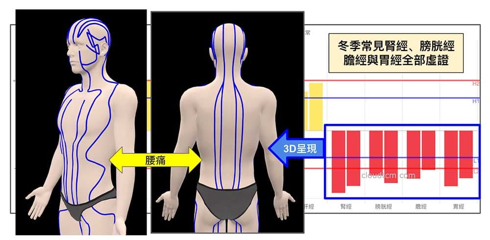 腳三陽經虛證、腎經虛證容易腰痛