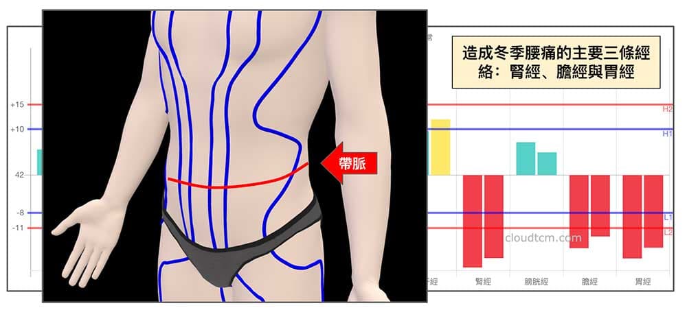 寒性體質到了冬季最常見膽經、胃經與腎經虛證