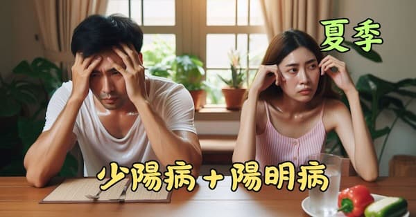 夏季常見少陽病與陽明病同病現象