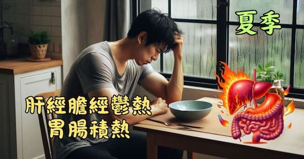 炎熱夏季肝經膽經火熱,陽明胃腸積熱