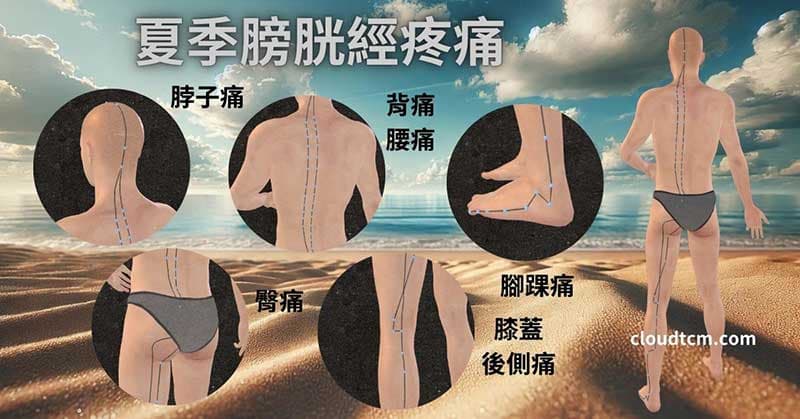 夏季容易出現膀胱經路線上的疼痛