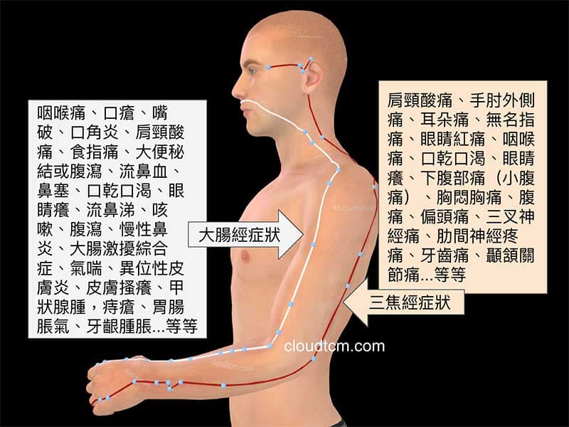 大腸經、三焦經常見症狀