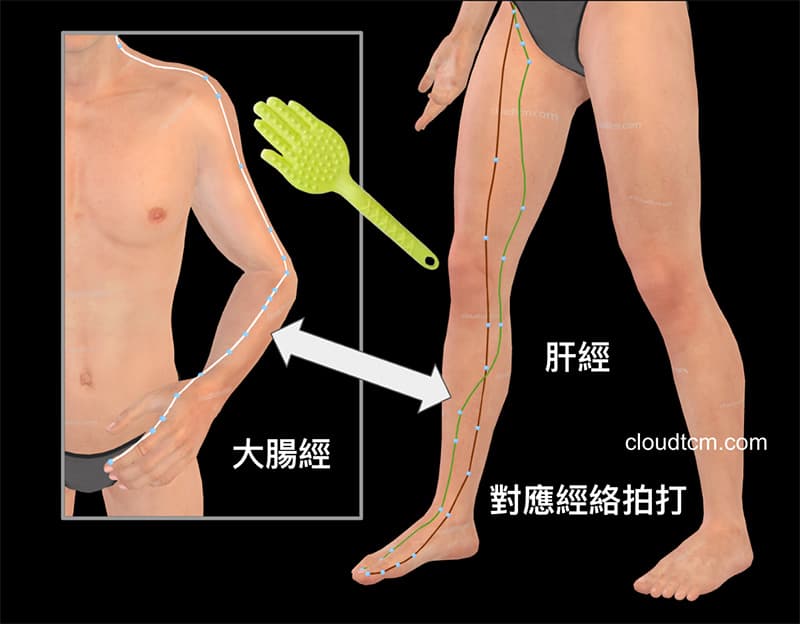 肝經與大腸經具有陰陽對應關係