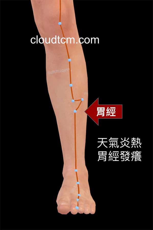 只要天氣炎熱,小腿胃經就會發癢
