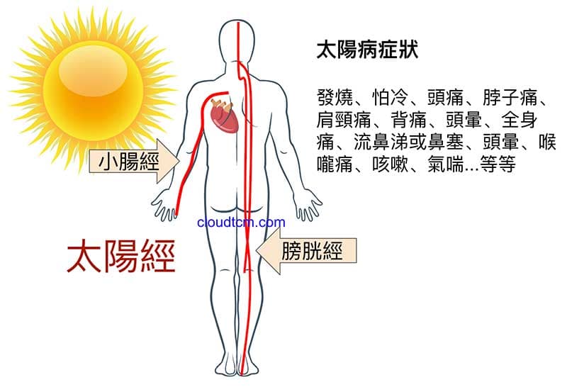 太陽病的症狀與膀胱經息息相關